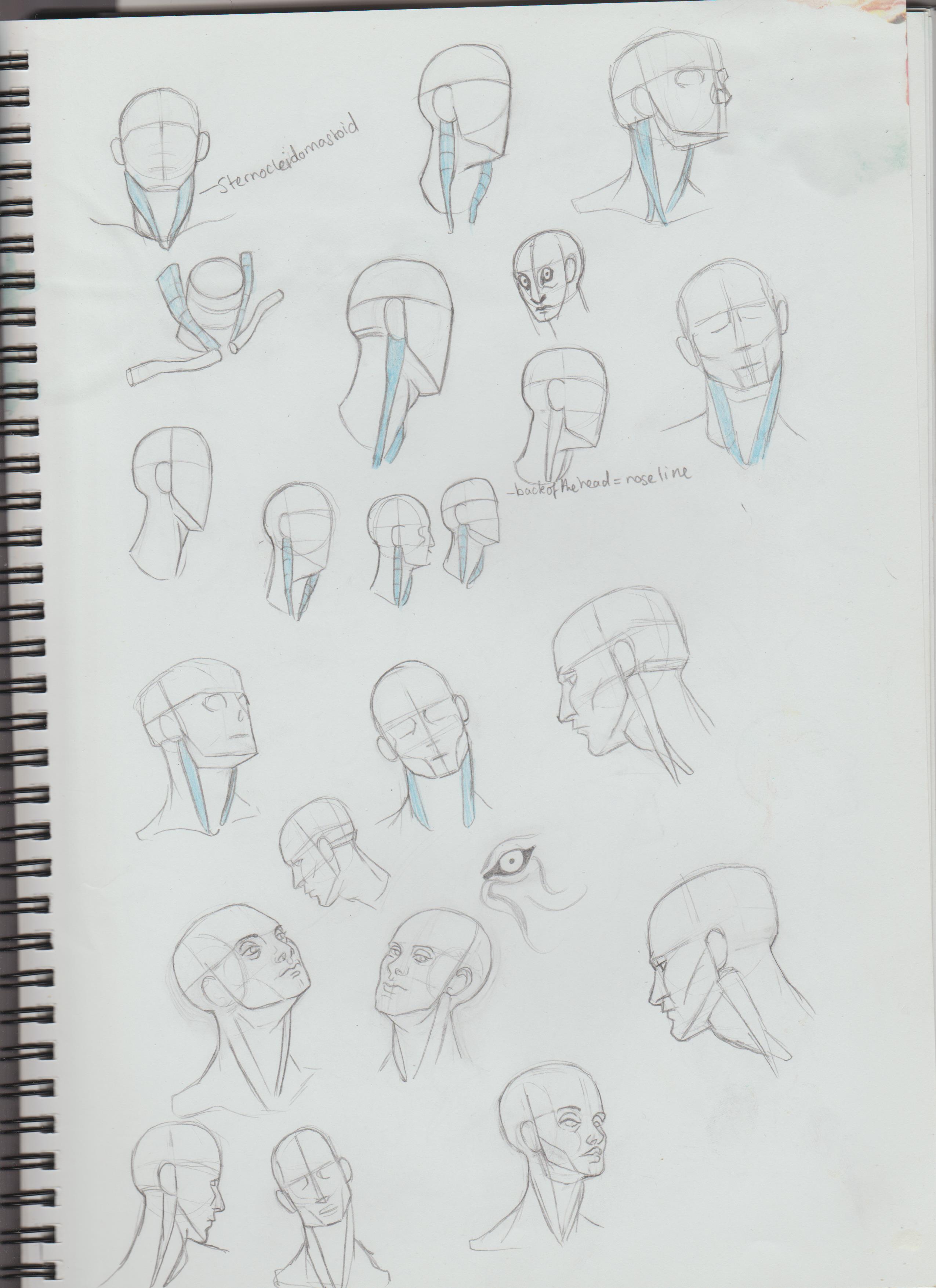 Filename: Image (57).jpg
Size: 524.5 KB01-25-2021, 12:09 AM